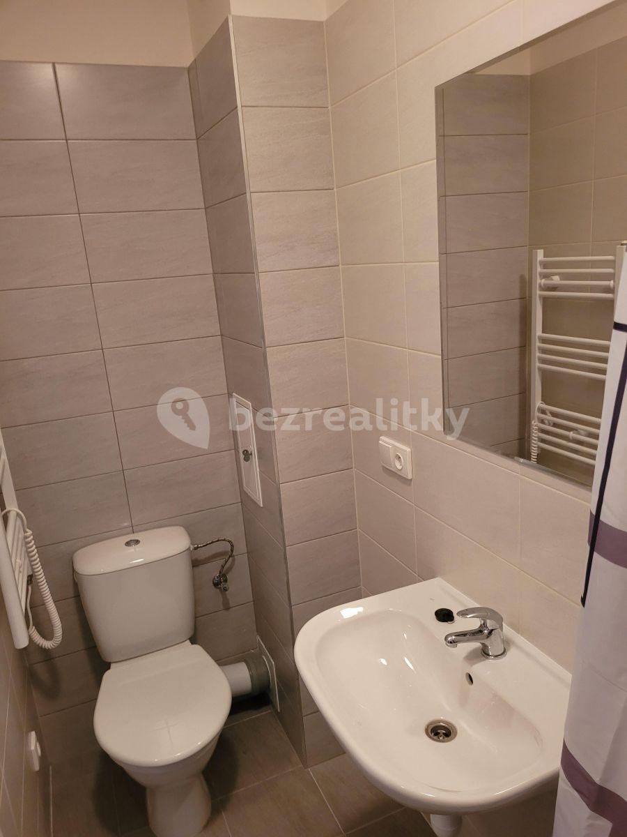 Studio flat to rent, 24 m², Škvorec, Středočeský Region