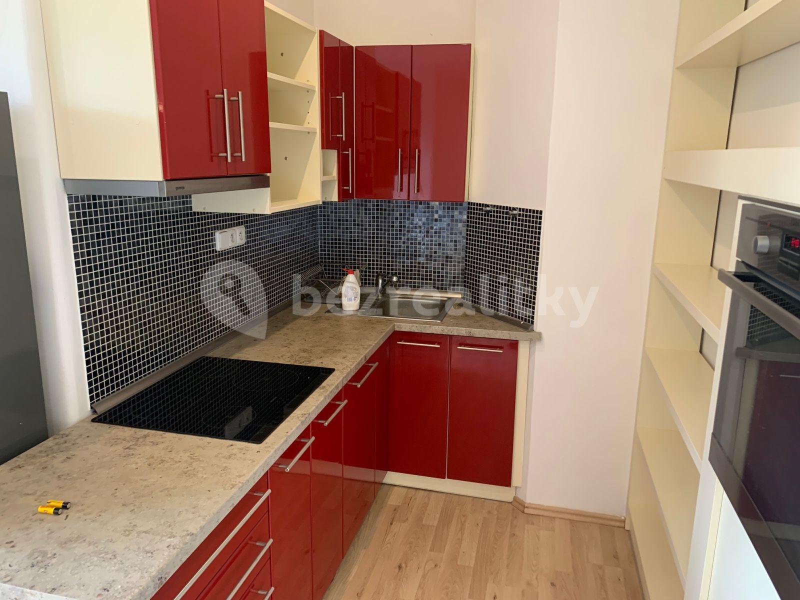 1 bedroom with open-plan kitchen flat to rent, 58 m², Za Vokovickou vozovnou, Prague, Prague