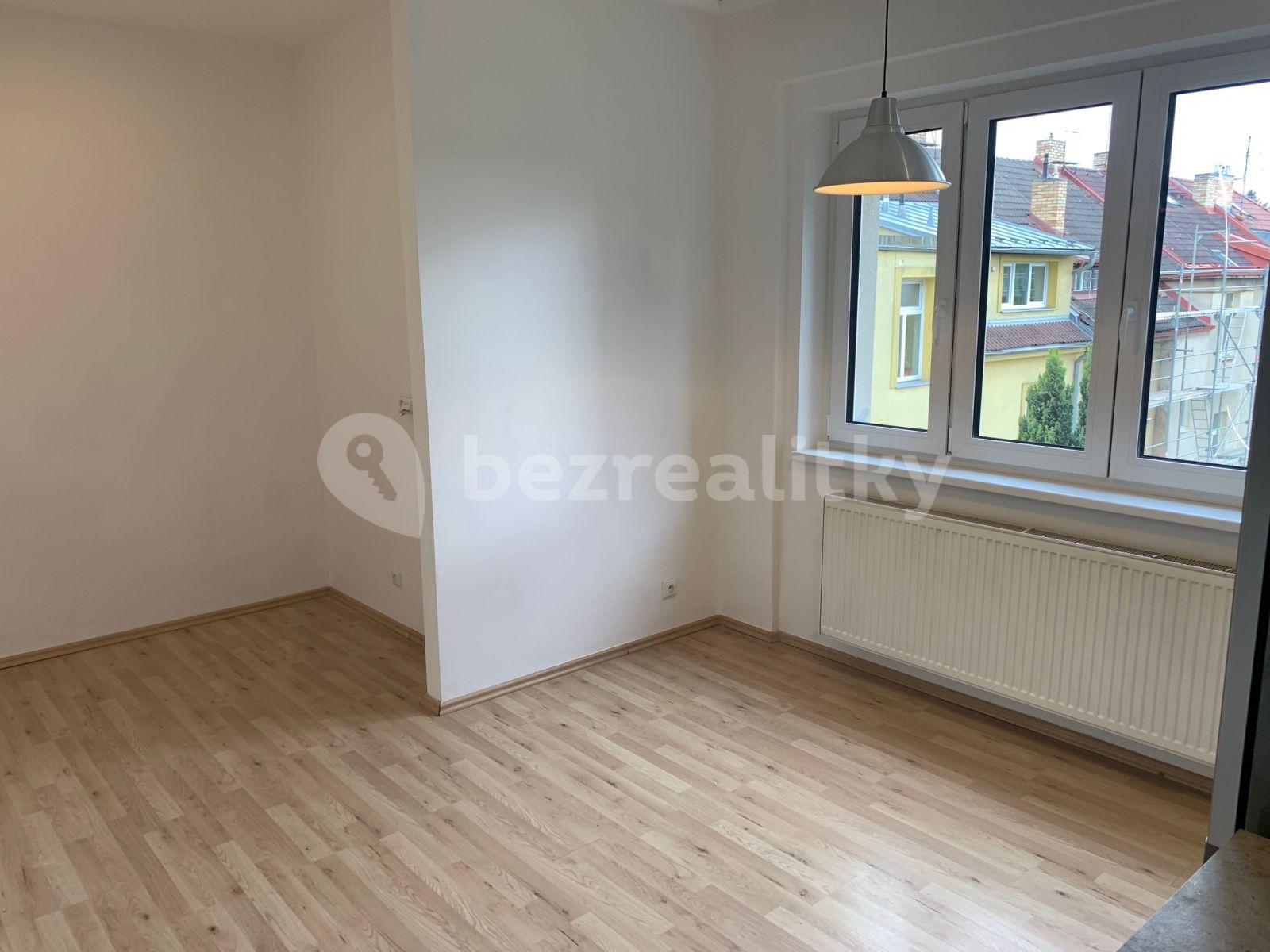 1 bedroom with open-plan kitchen flat to rent, 58 m², Za Vokovickou vozovnou, Prague, Prague