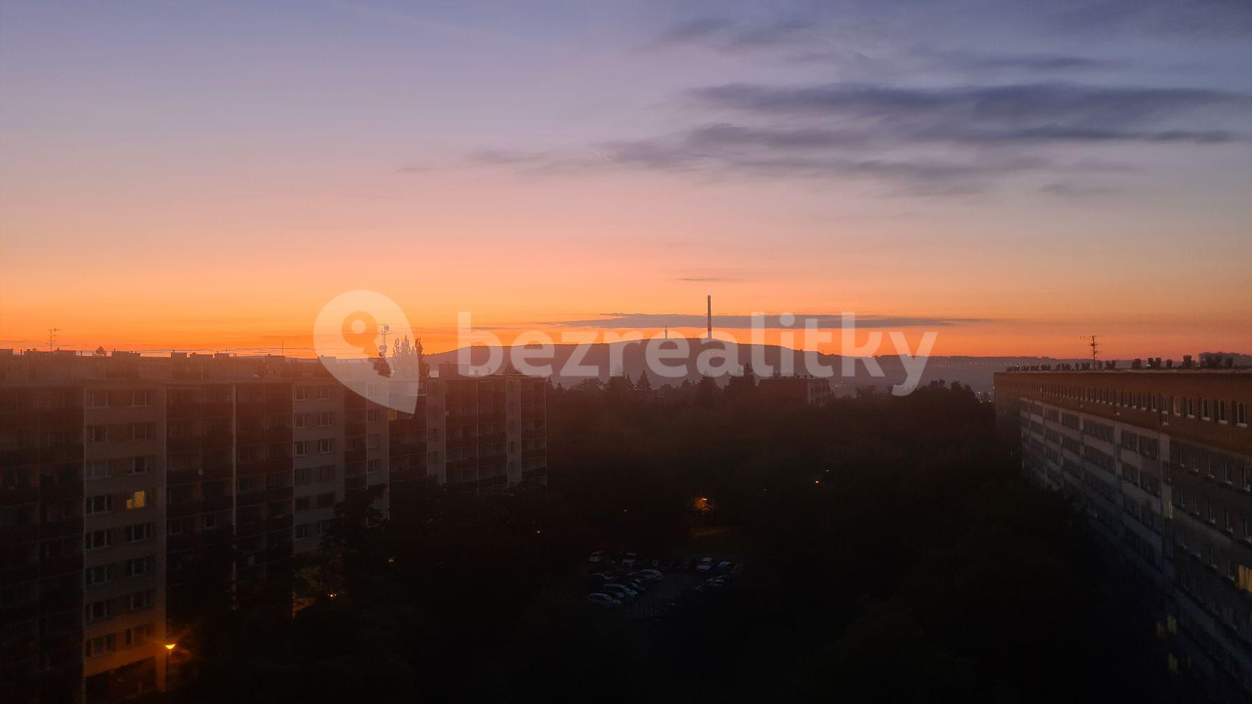 1 bedroom flat to rent, 30 m², Halasovo náměstí, Brno, Jihomoravský Region