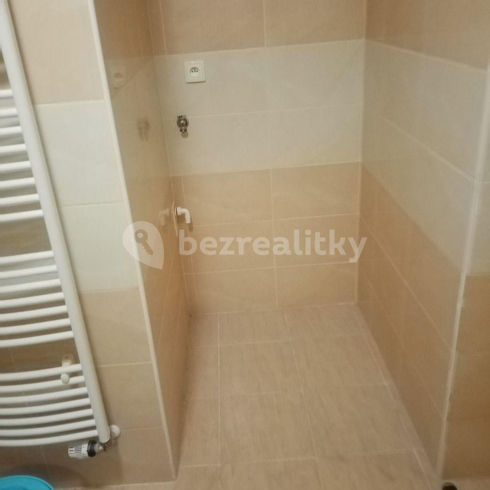 1 bedroom flat to rent, 60 m², Bezručova, Plzeň, Plzeňský Region