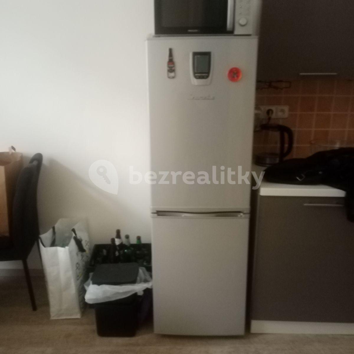 1 bedroom flat to rent, 60 m², Bezručova, Plzeň, Plzeňský Region