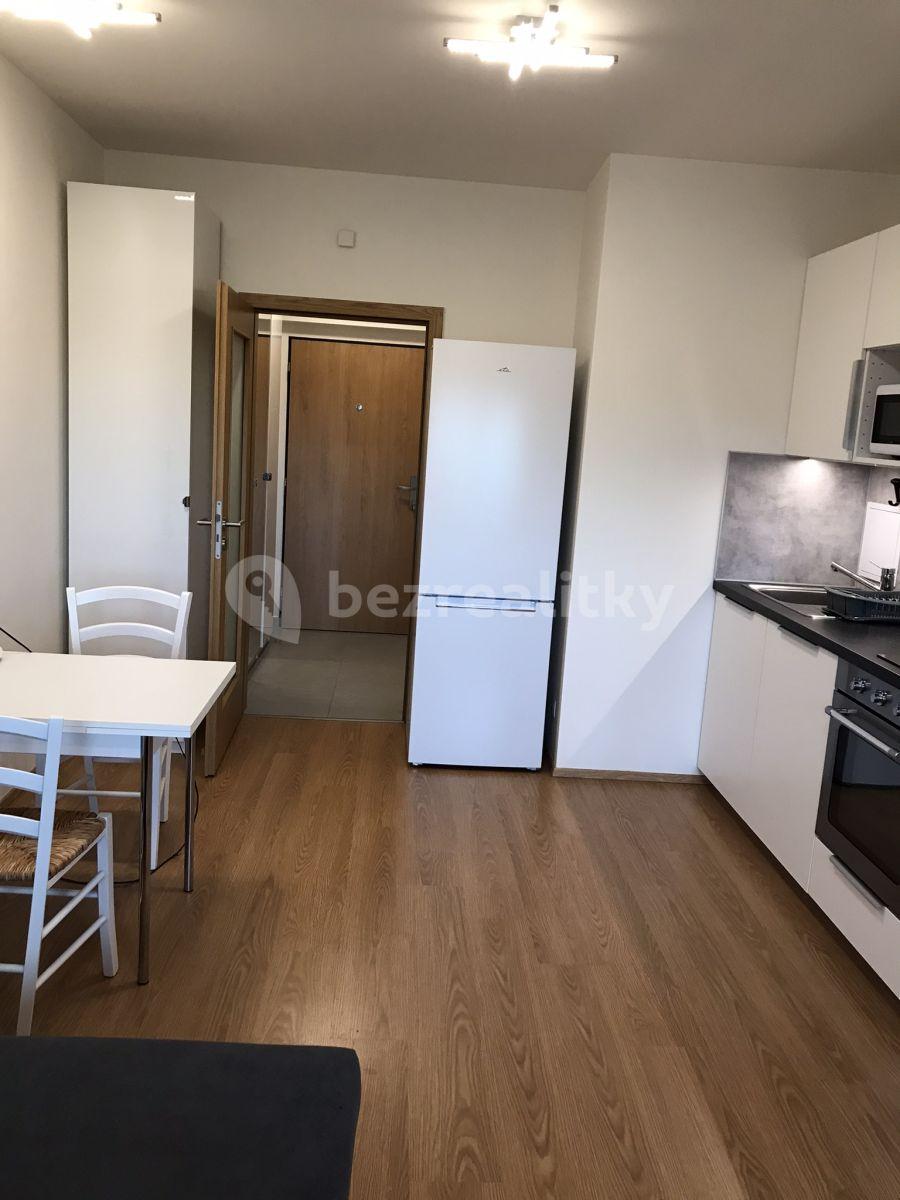 Studio flat to rent, 34 m², Velvarská, Horoměřice, Středočeský Region