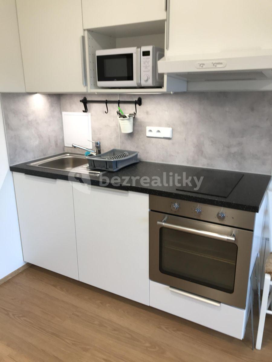 Studio flat to rent, 34 m², Velvarská, Horoměřice, Středočeský Region