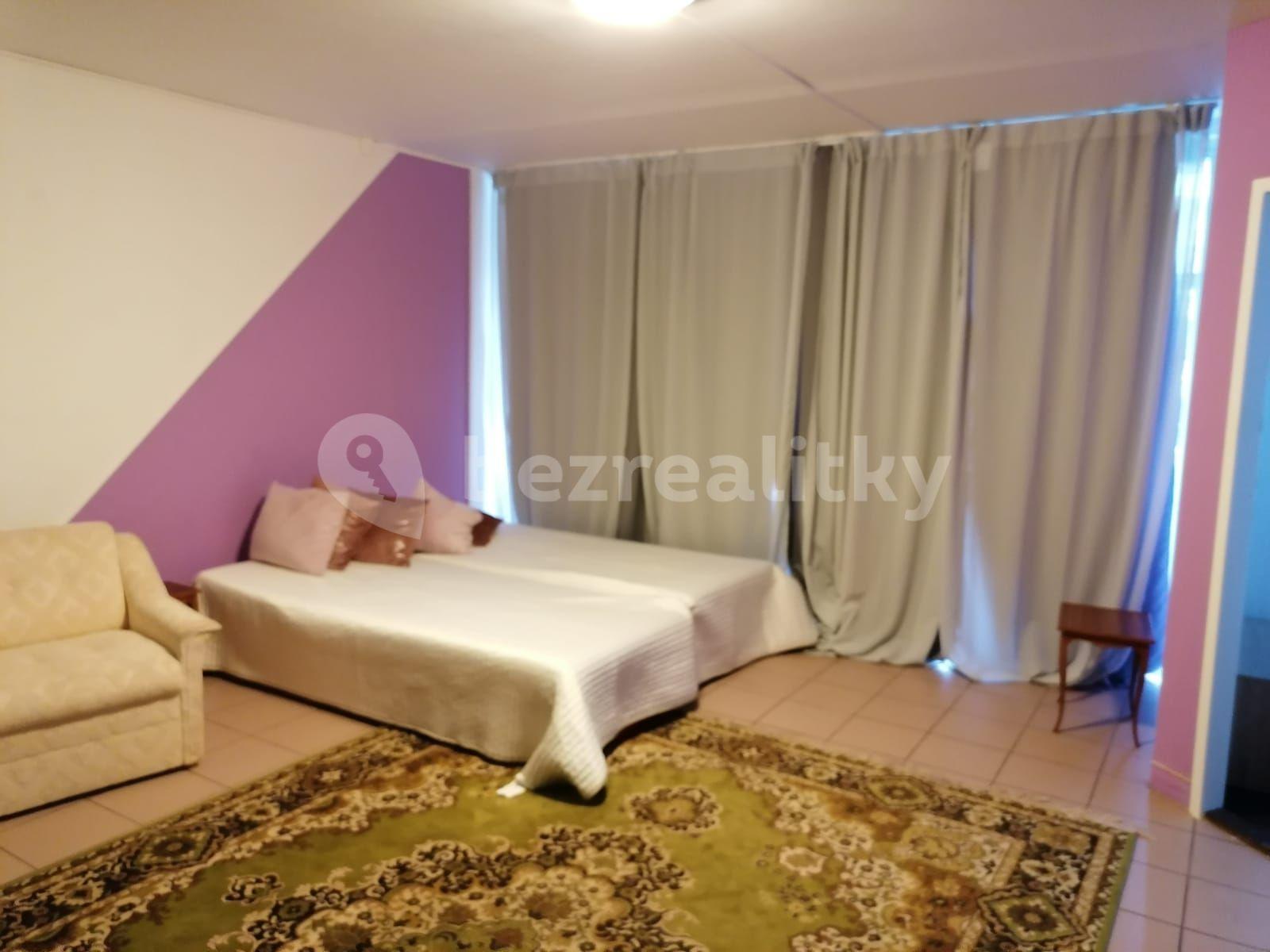 Studio flat to rent, 45 m², Kettnerova, Prague, Prague