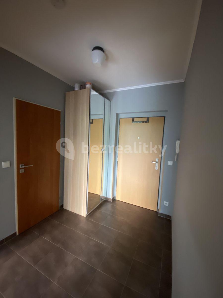 1 bedroom with open-plan kitchen flat to rent, 52 m², Ecksteinova, Chýně, Středočeský Region