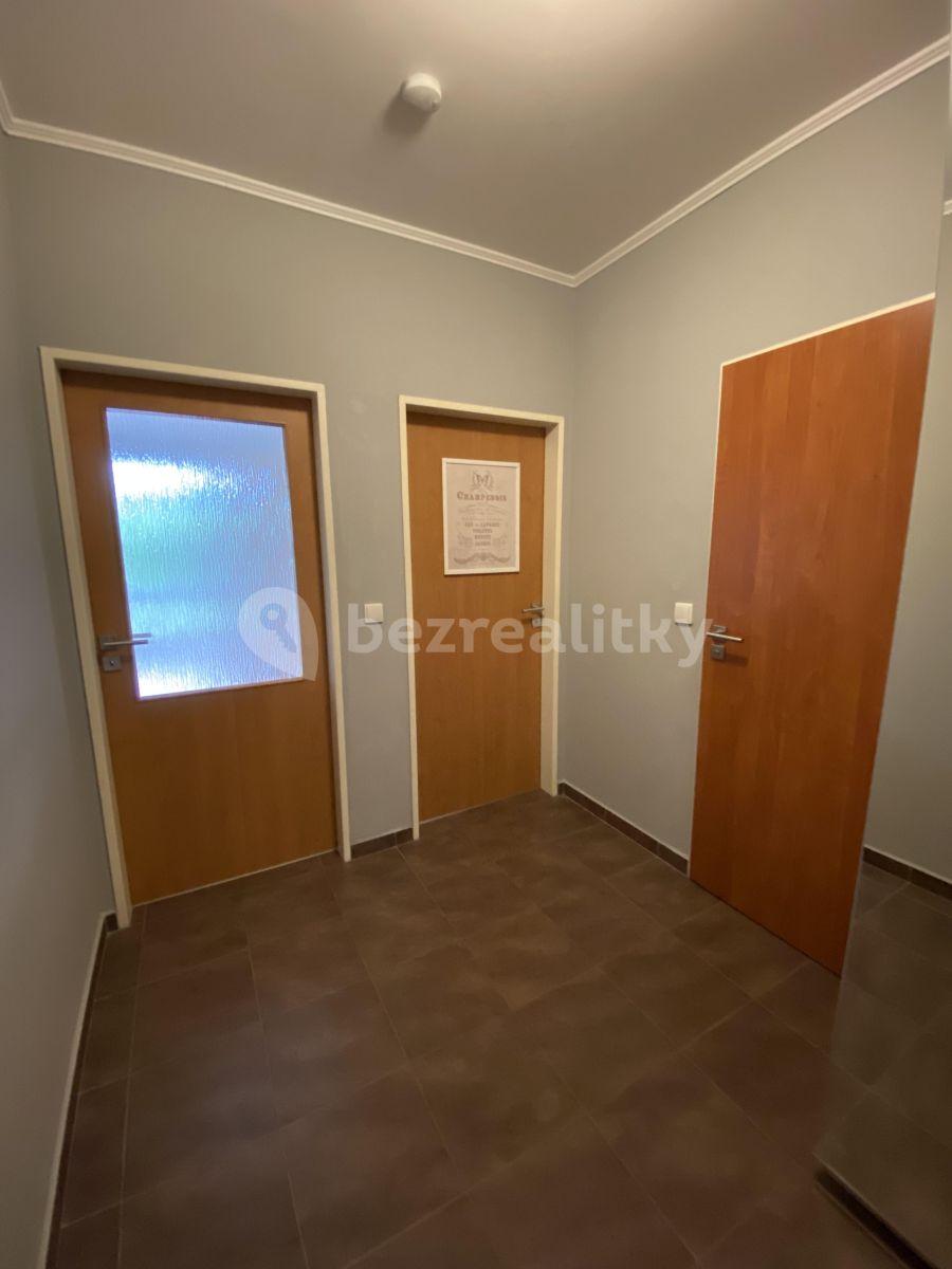 1 bedroom with open-plan kitchen flat to rent, 52 m², Ecksteinova, Chýně, Středočeský Region