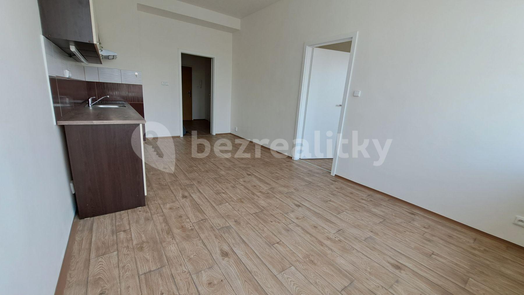 1 bedroom with open-plan kitchen flat to rent, 50 m², Černokostelecká, Prague, Prague