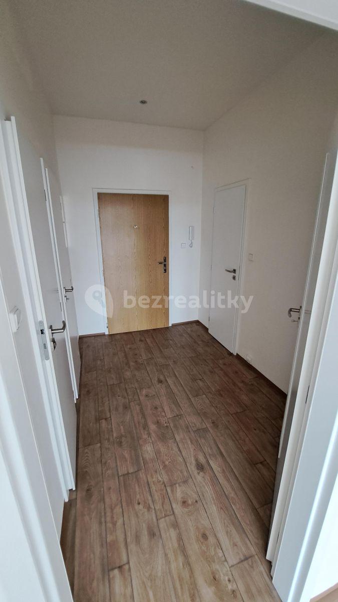 1 bedroom with open-plan kitchen flat to rent, 50 m², Černokostelecká, Prague, Prague