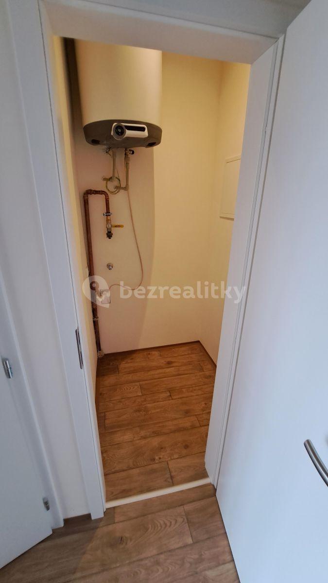 1 bedroom with open-plan kitchen flat to rent, 50 m², Černokostelecká, Prague, Prague