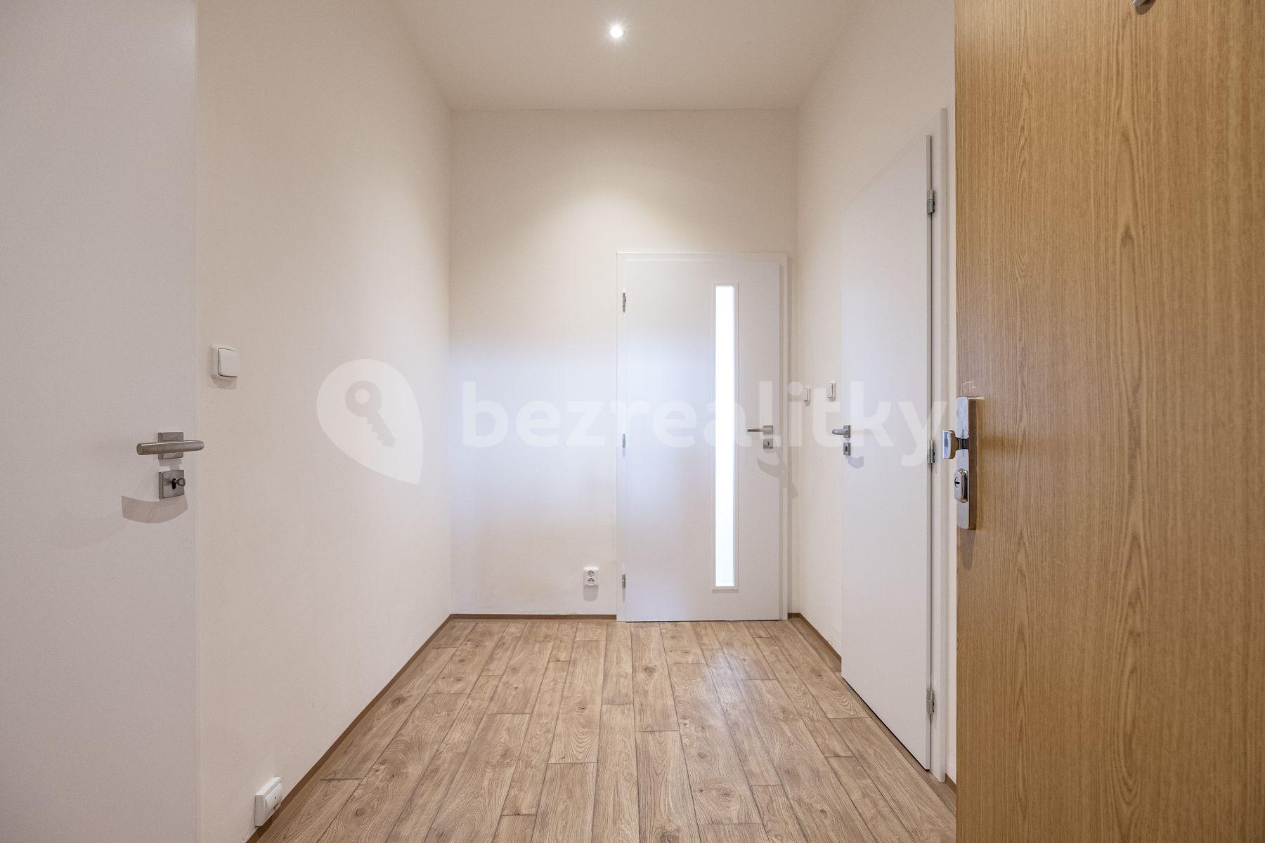 1 bedroom with open-plan kitchen flat to rent, 50 m², Černokostelecká, Prague, Prague