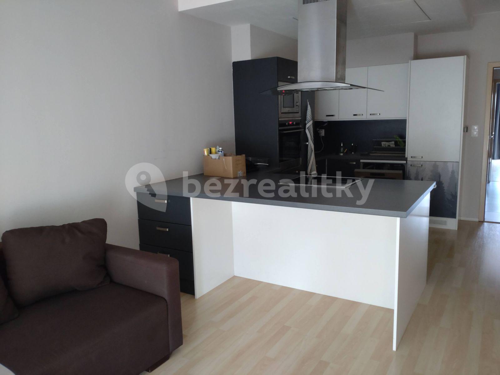 1 bedroom with open-plan kitchen flat to rent, 64 m², Jezerůvky, Brno, Jihomoravský Region