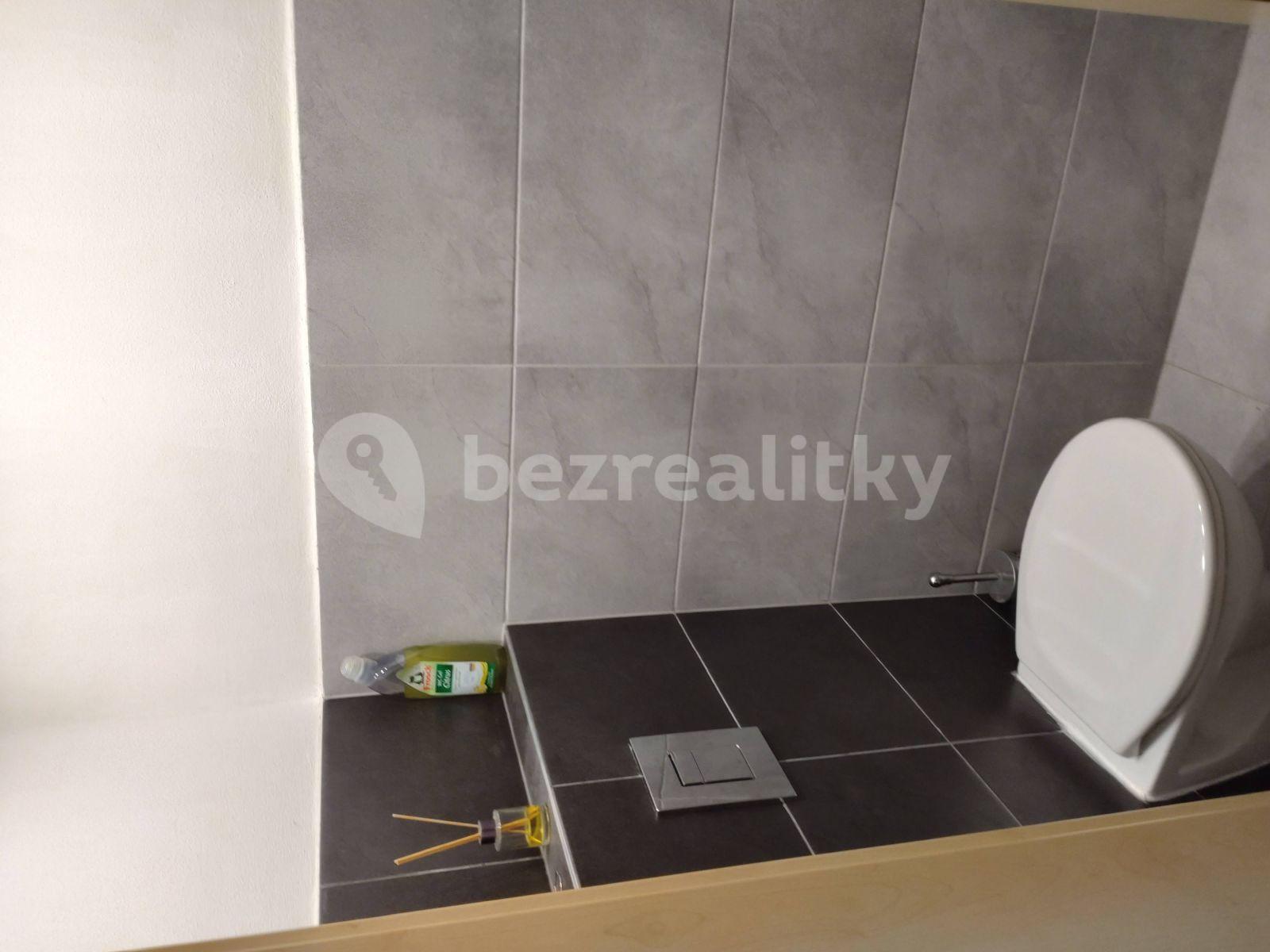 1 bedroom with open-plan kitchen flat to rent, 64 m², Jezerůvky, Brno, Jihomoravský Region