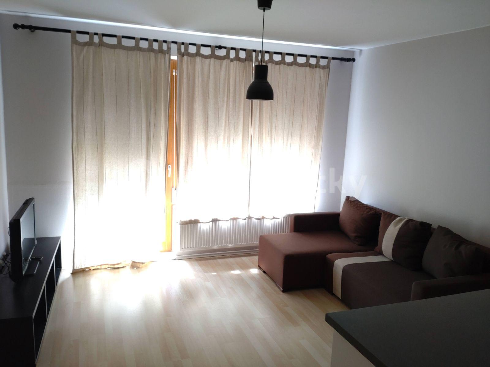 1 bedroom with open-plan kitchen flat to rent, 64 m², Jezerůvky, Brno, Jihomoravský Region