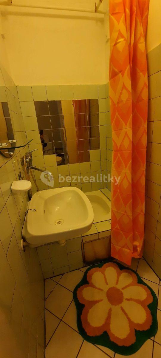 Studio flat to rent, 24 m², Nad Lesním divadlem, Prague, Prague