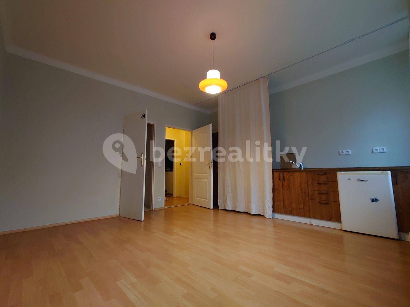 Small studio flat to rent, 22 m², Kladenská, Prague, Prague