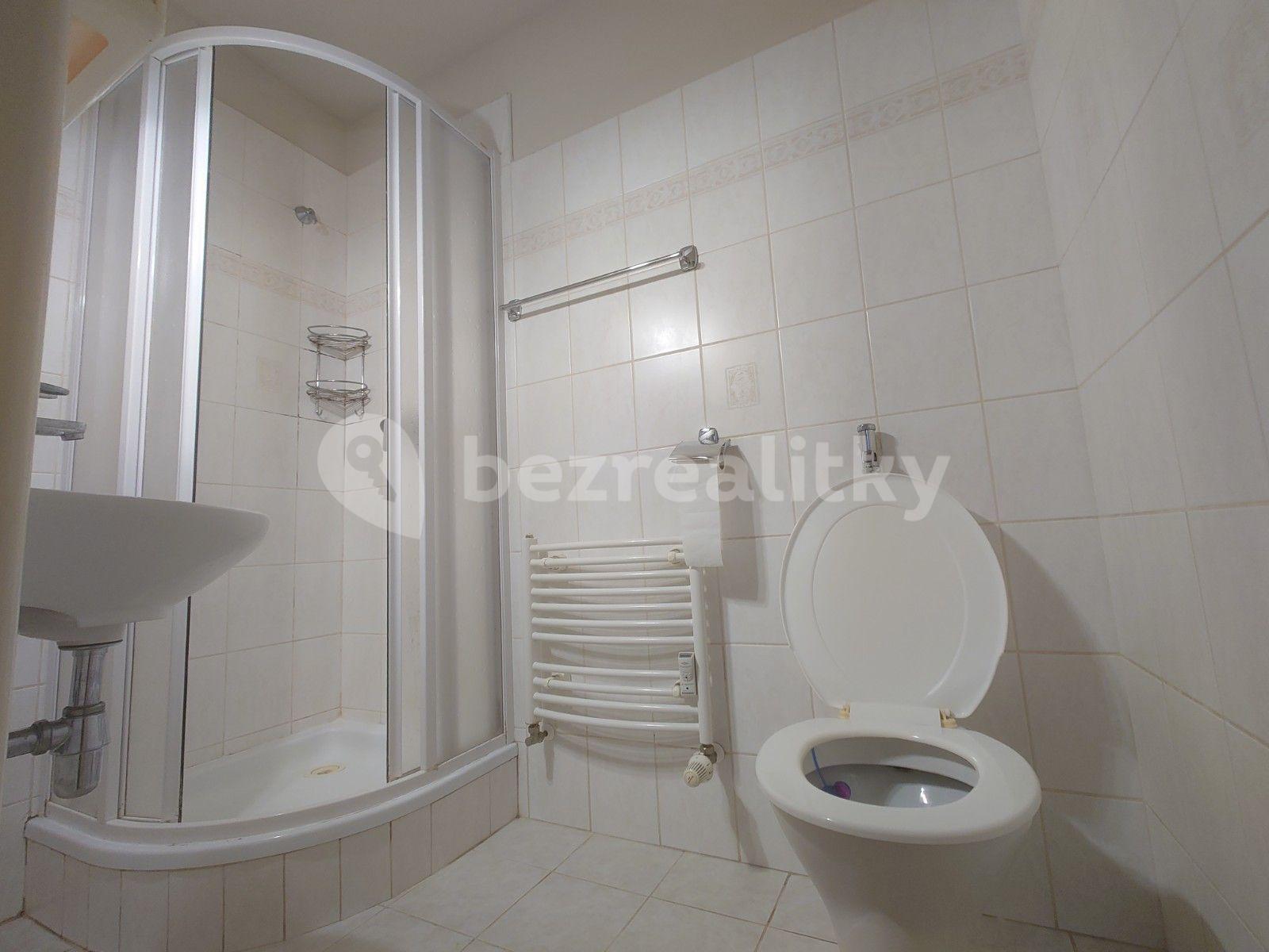 Small studio flat to rent, 22 m², Kladenská, Prague, Prague