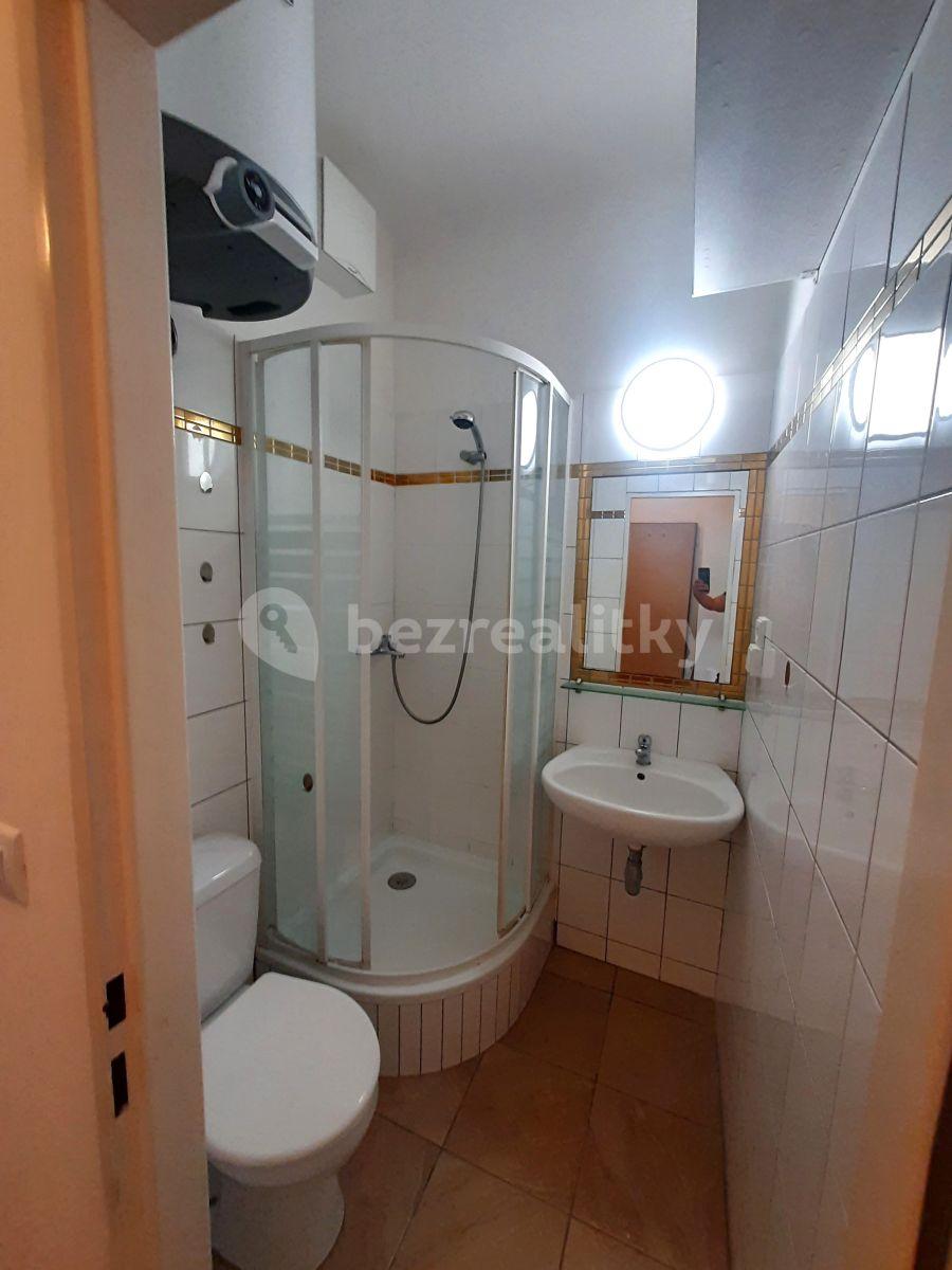 1 bedroom with open-plan kitchen flat to rent, 50 m², Valčíkova, Prague, Prague