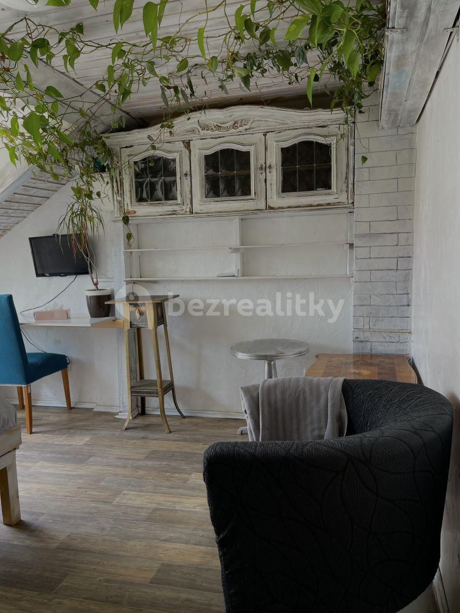 Studio flat to rent, 25 m², Lublaňská, Prague, Prague