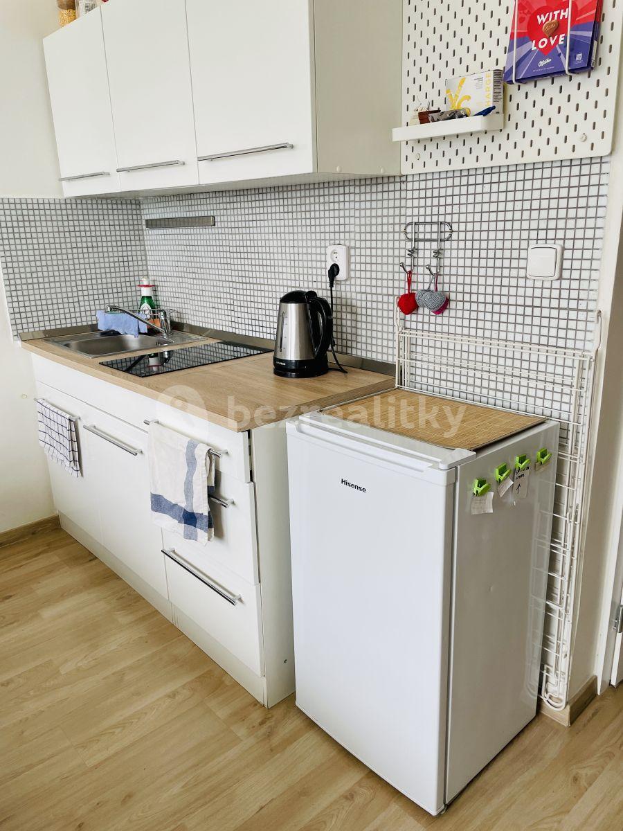 Small studio flat to rent, 20 m², Peroutkova, Prague, Prague