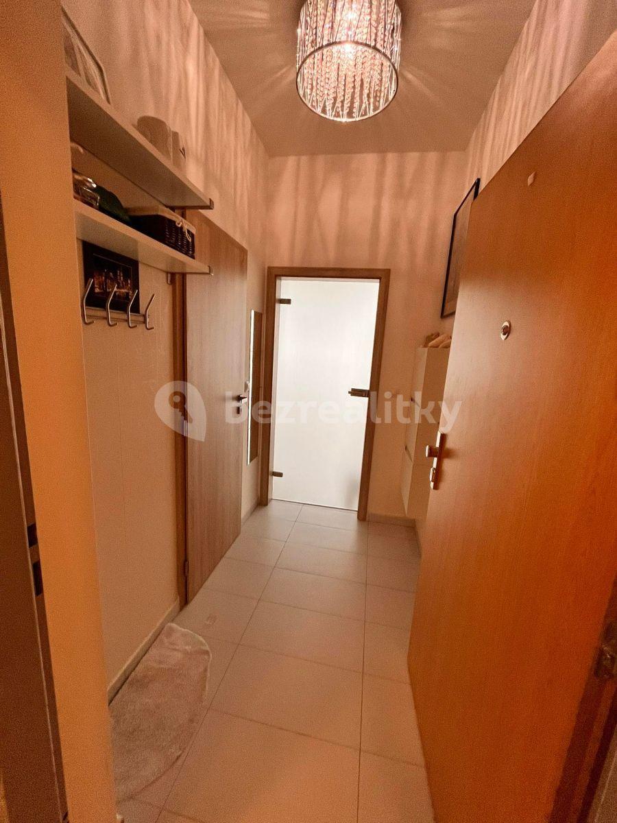 Studio flat to rent, 36 m², Emy Destinové, Jinočany, Středočeský Region