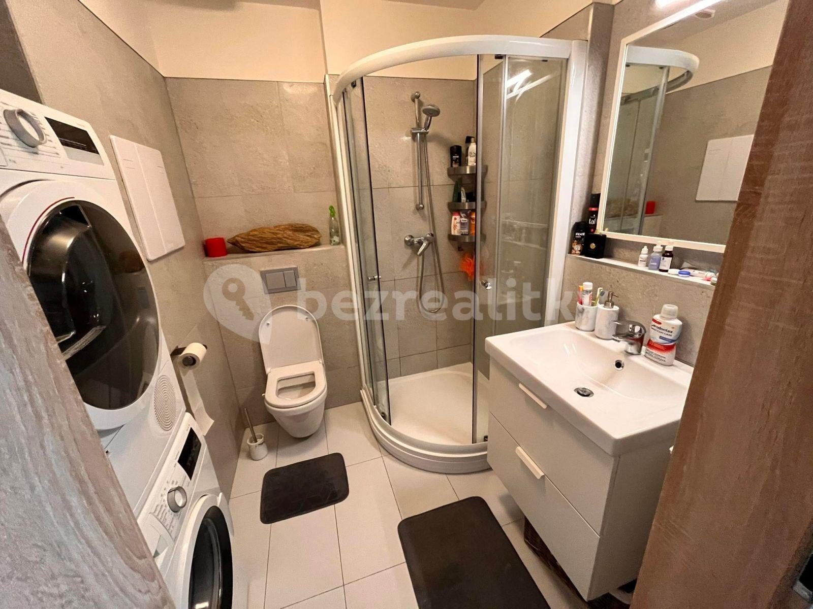 Studio flat to rent, 36 m², Emy Destinové, Jinočany, Středočeský Region