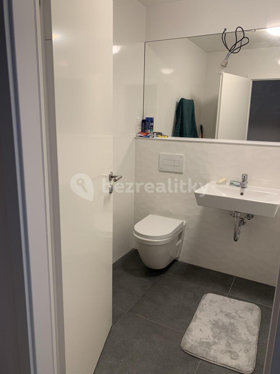 Studio flat to rent, 30 m², Poděbradská, Prague, Prague