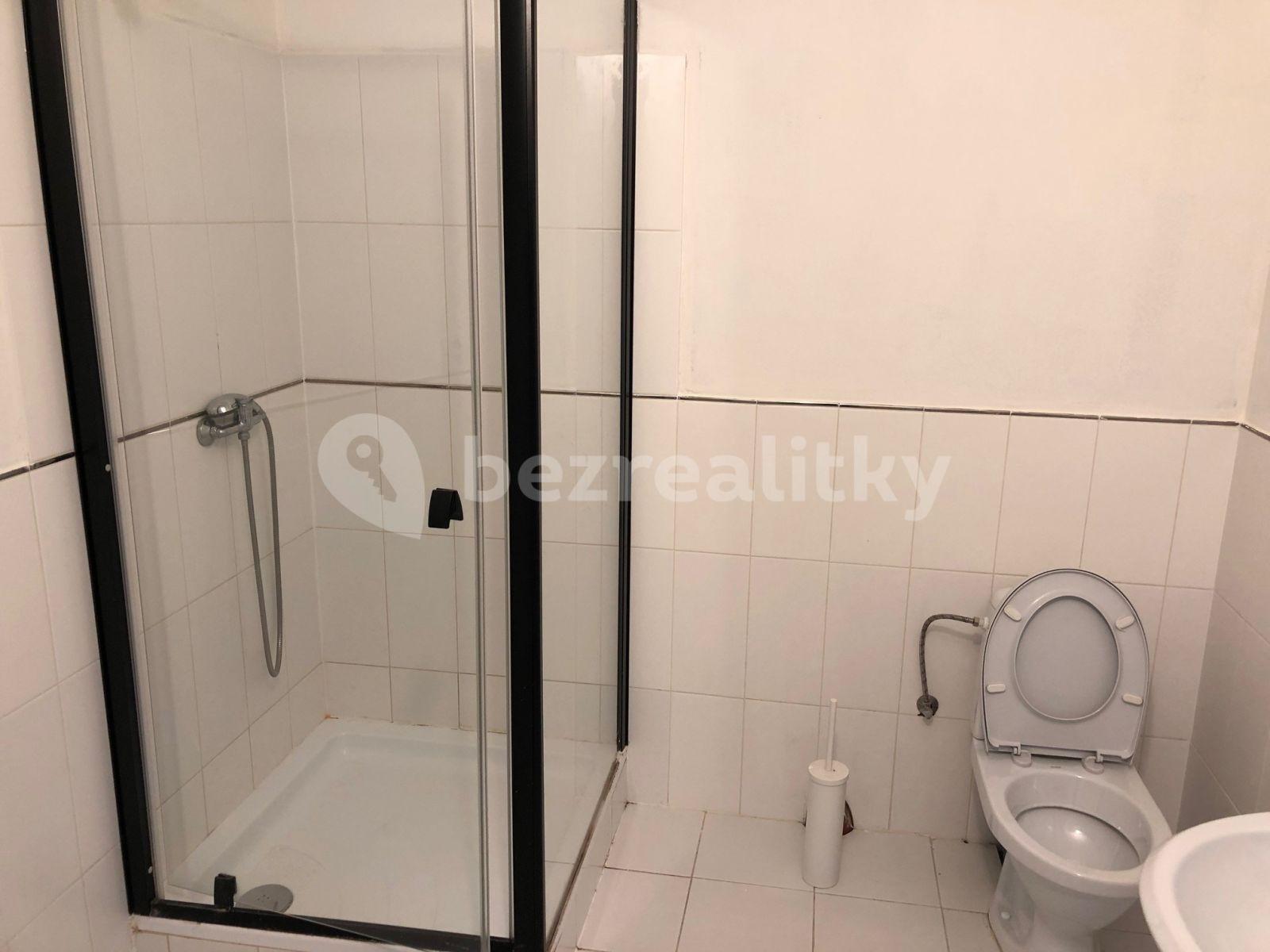 Studio flat to rent, 29 m², Na Rokytce, Prague, Prague