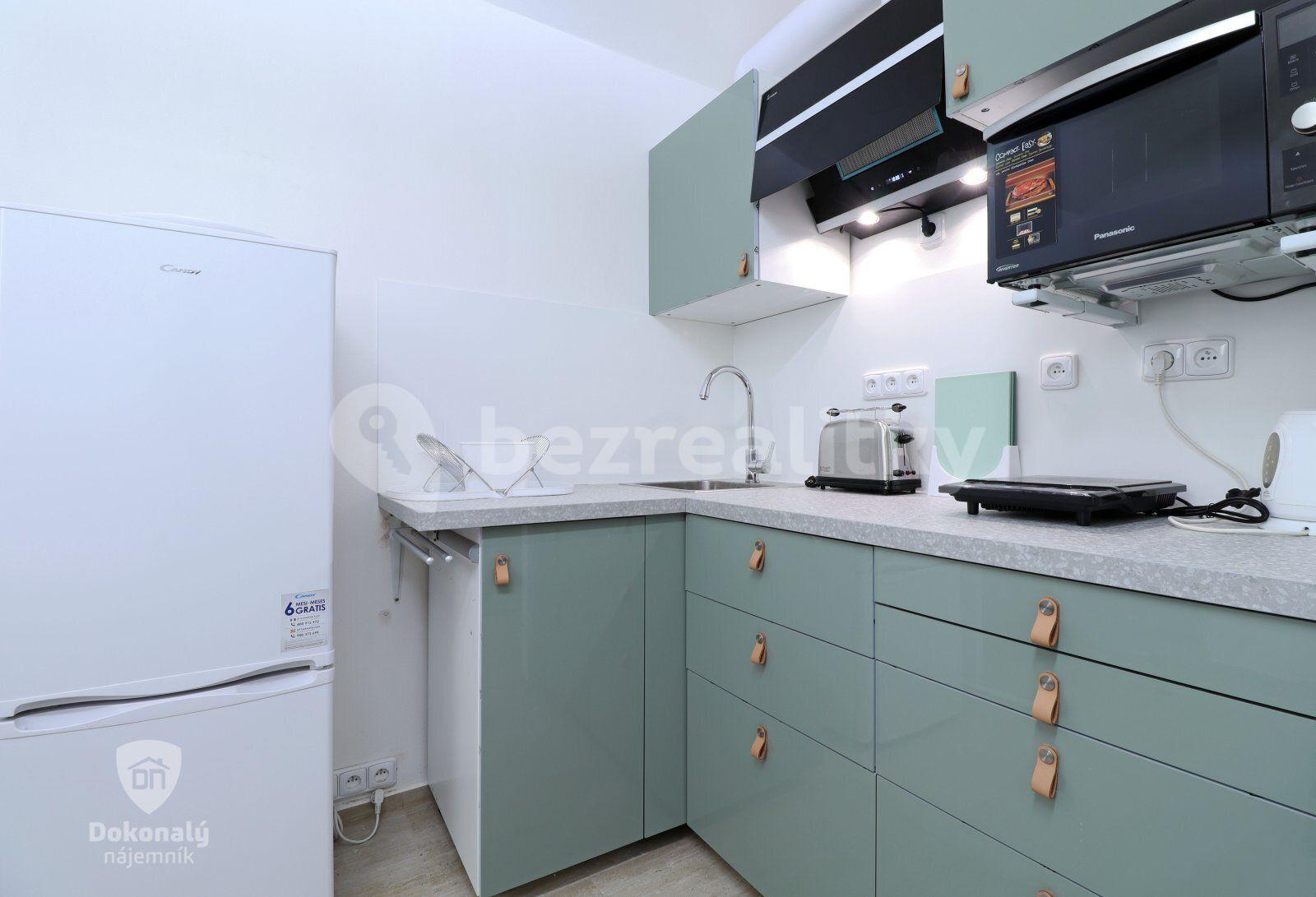 Studio flat to rent, 19 m², Koperníkova, Prague, Prague