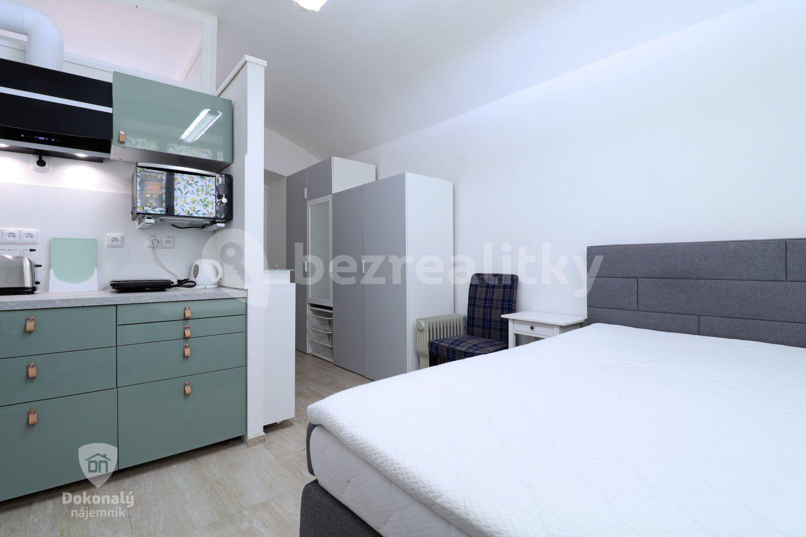 Studio flat to rent, 19 m², Koperníkova, Prague, Prague