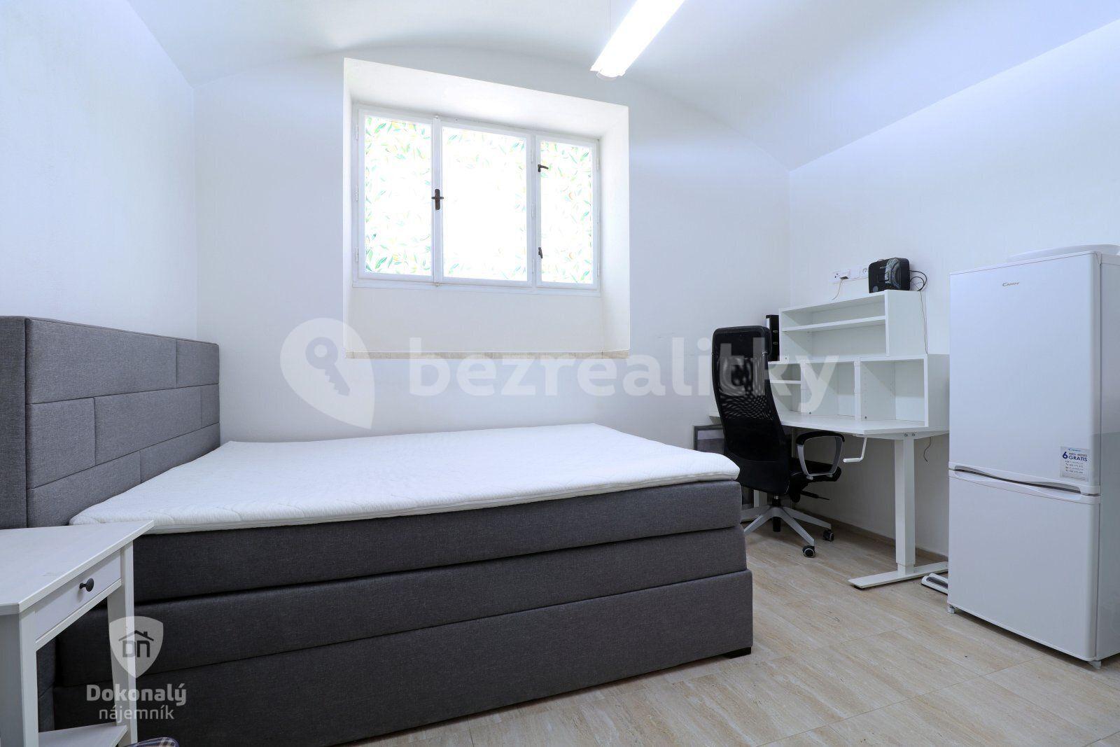 Studio flat to rent, 19 m², Koperníkova, Prague, Prague