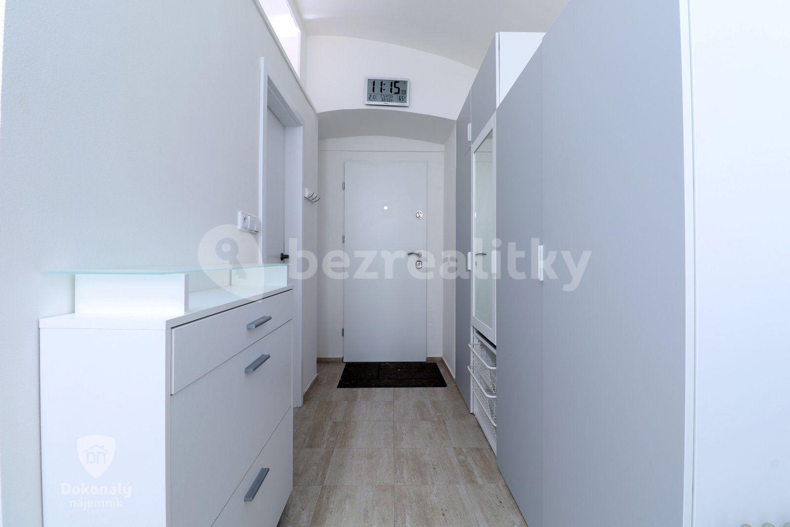 Studio flat to rent, 19 m², Koperníkova, Prague, Prague