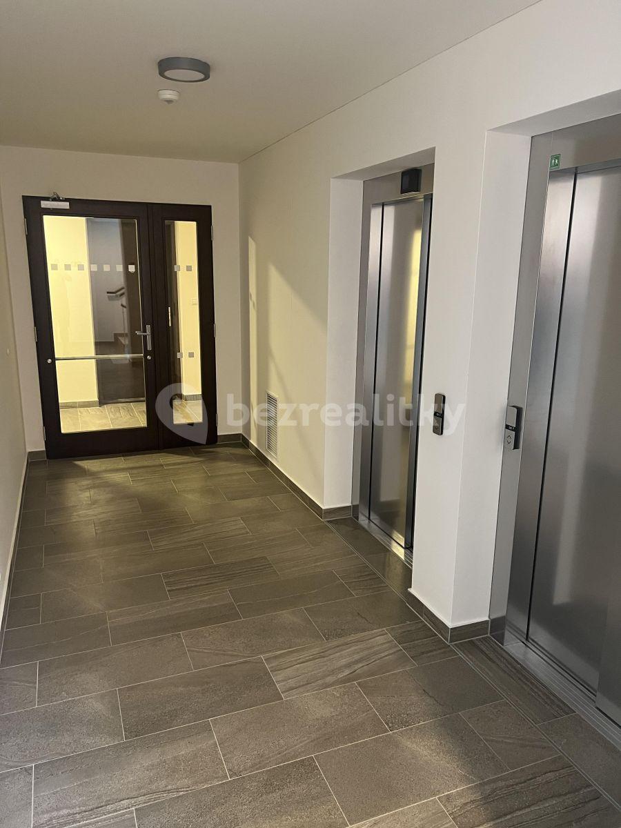 1 bedroom with open-plan kitchen flat to rent, 57 m², U Radosti, Prague, Prague