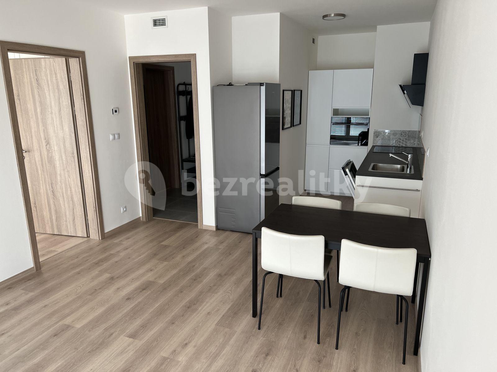 1 bedroom with open-plan kitchen flat to rent, 57 m², U Radosti, Prague, Prague