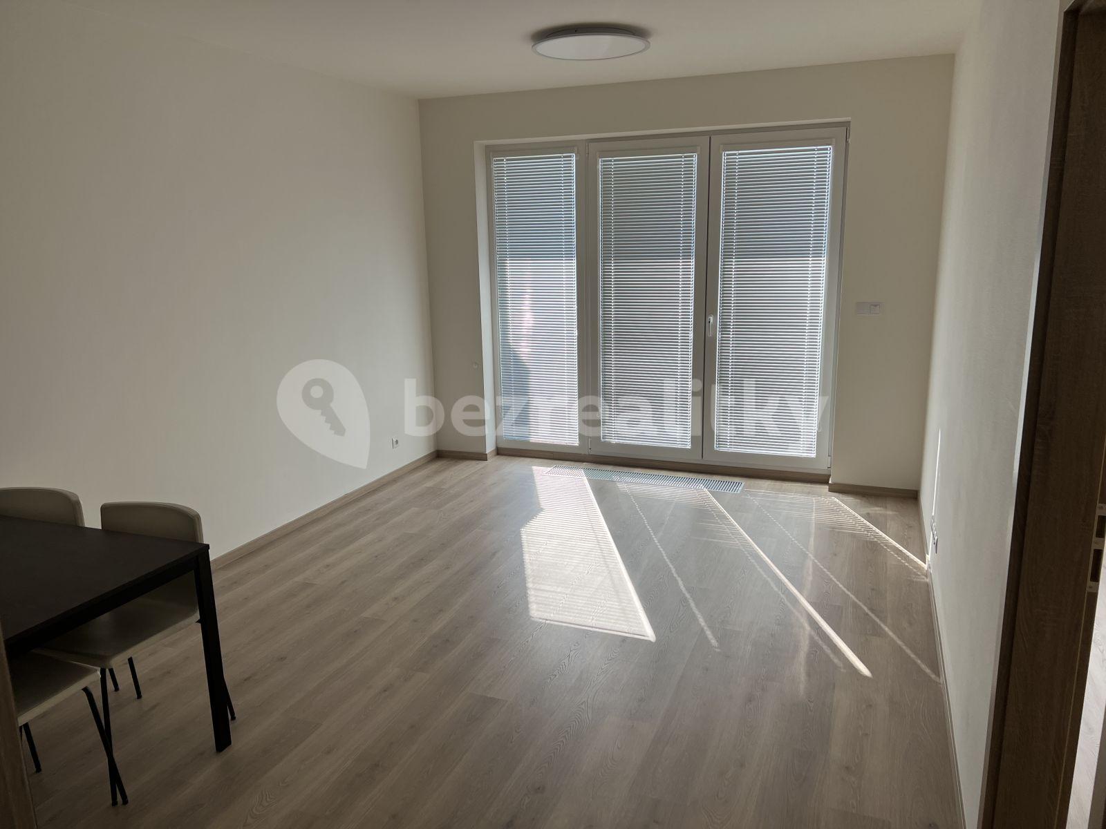 1 bedroom with open-plan kitchen flat to rent, 57 m², U Radosti, Prague, Prague