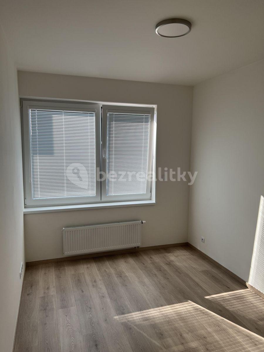 1 bedroom with open-plan kitchen flat to rent, 57 m², U Radosti, Prague, Prague