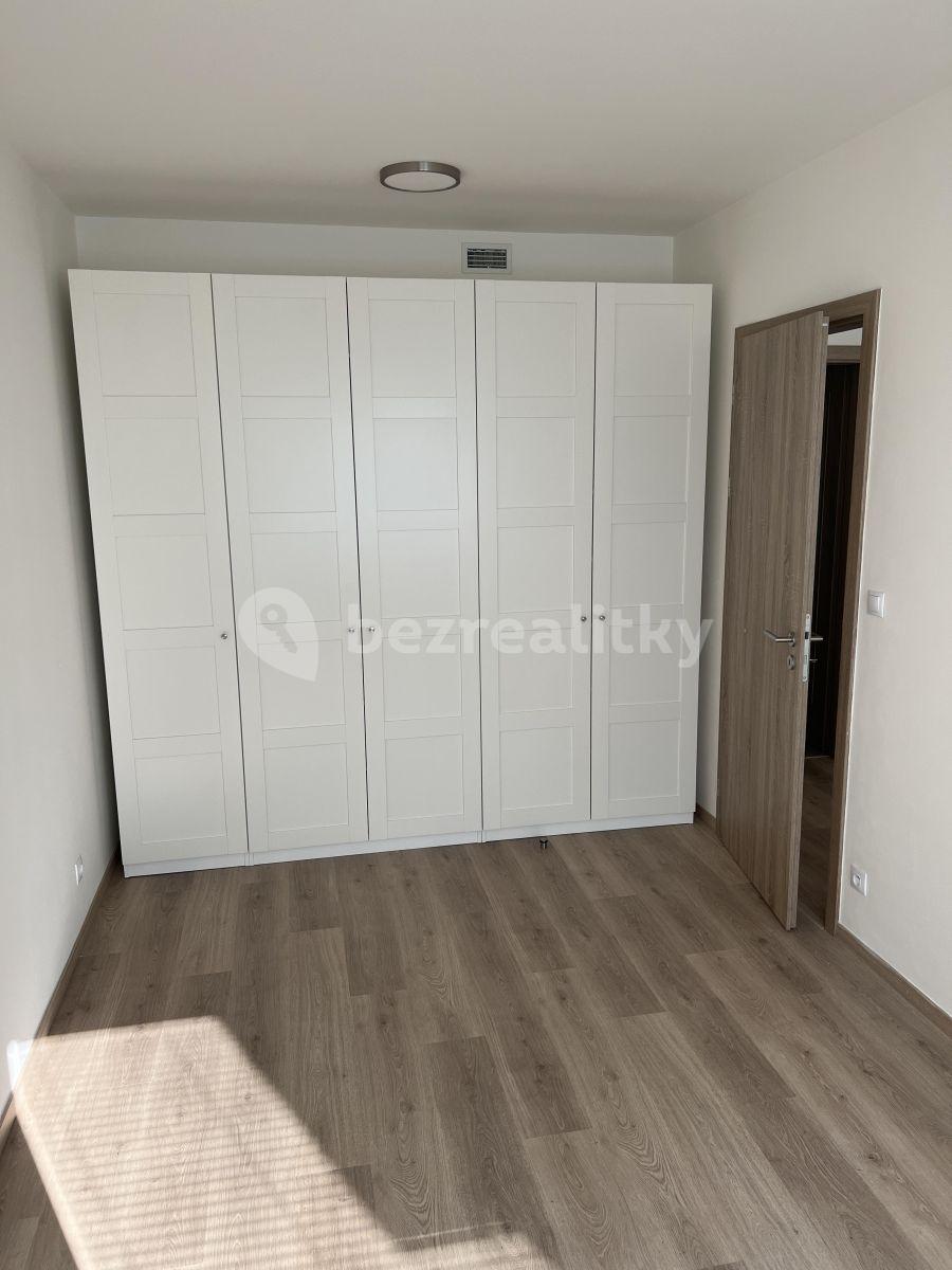 1 bedroom with open-plan kitchen flat to rent, 57 m², U Radosti, Prague, Prague