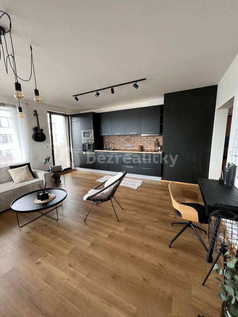 1 bedroom with open-plan kitchen flat to rent, 58 m², Sousedíkova, Prague, Prague