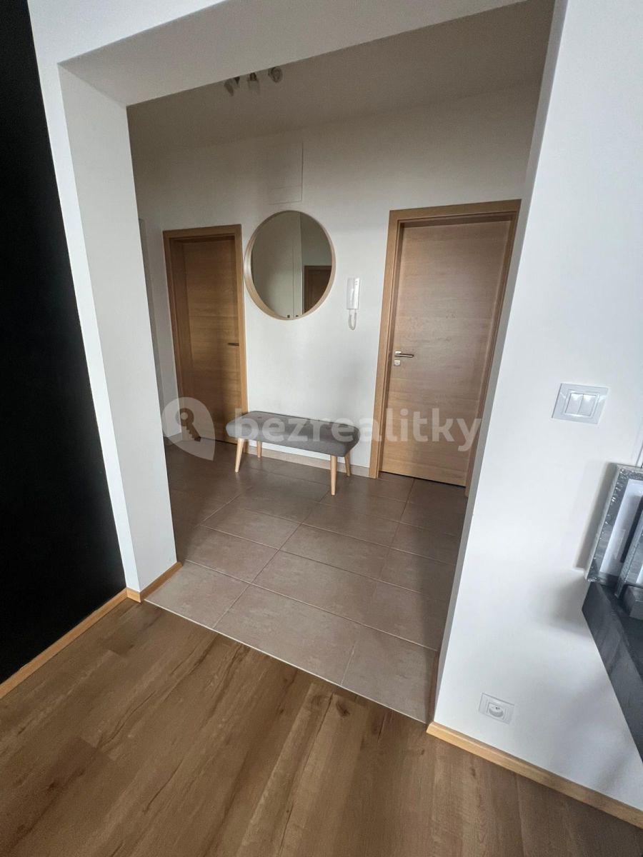 1 bedroom with open-plan kitchen flat to rent, 58 m², Sousedíkova, Prague, Prague