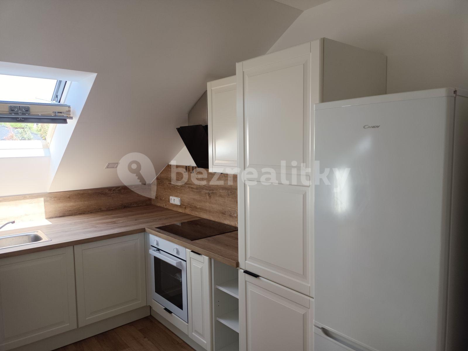 1 bedroom with open-plan kitchen flat to rent, 68 m², Bubovická, Bubovice, Středočeský Region