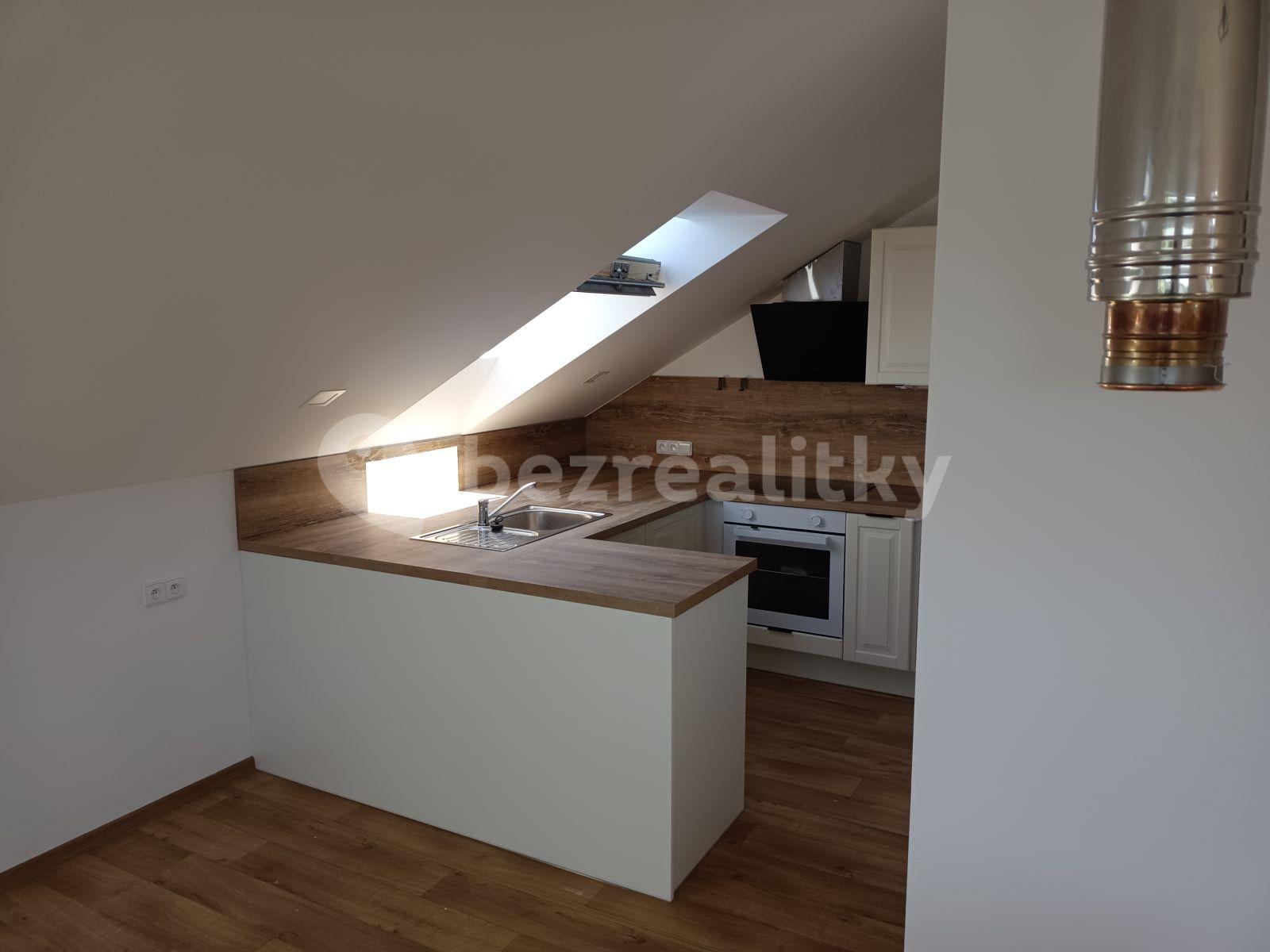 1 bedroom with open-plan kitchen flat to rent, 68 m², Bubovická, Bubovice, Středočeský Region