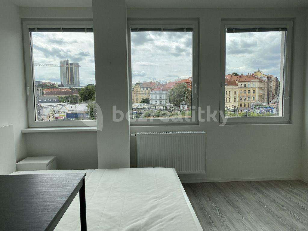 Studio flat to rent, 27 m², Perucká, Prague, Prague