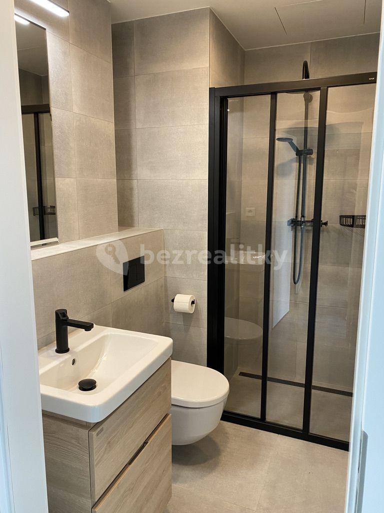 Studio flat to rent, 27 m², Perucká, Prague, Prague