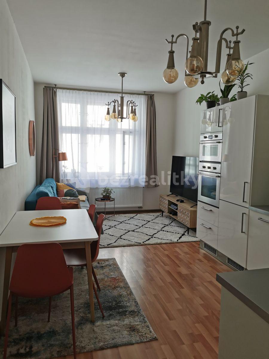 1 bedroom with open-plan kitchen flat to rent, 55 m², Polská, Prague, Prague