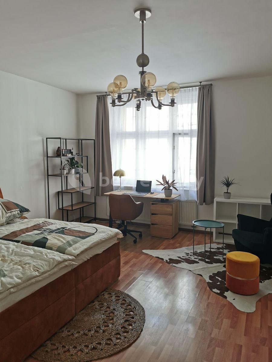 1 bedroom with open-plan kitchen flat to rent, 55 m², Polská, Prague, Prague