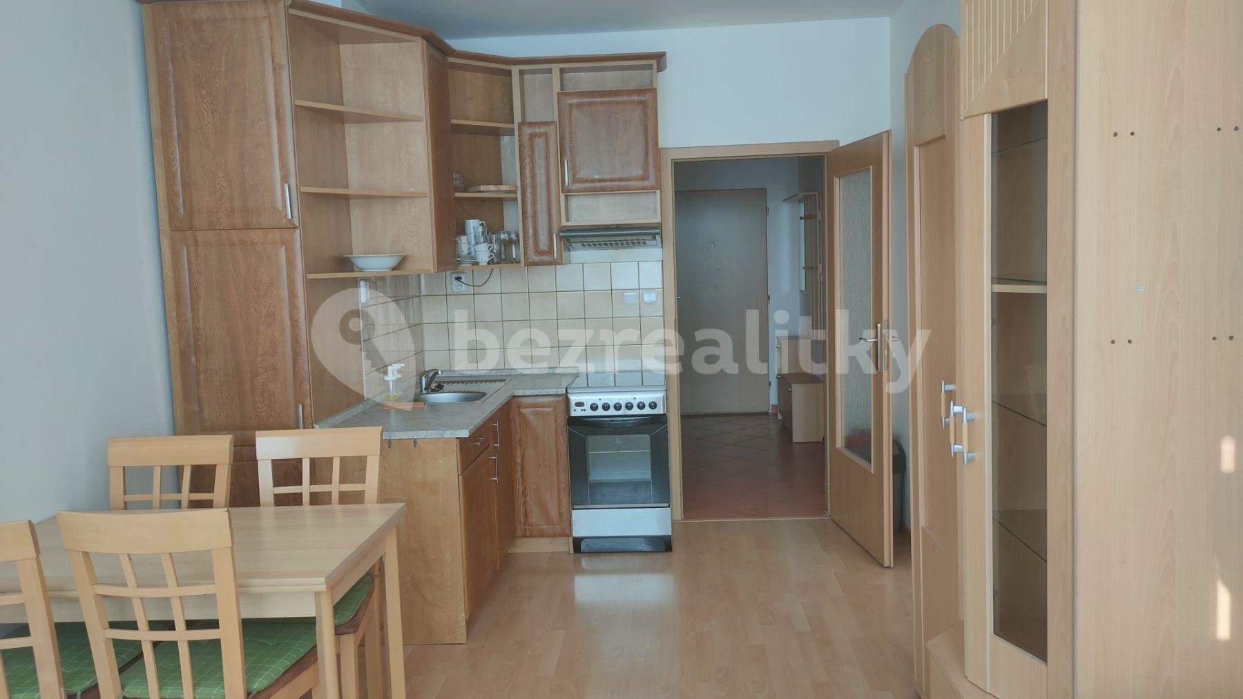 1 bedroom with open-plan kitchen flat to rent, 44 m², Voskovcova, Prague, Prague