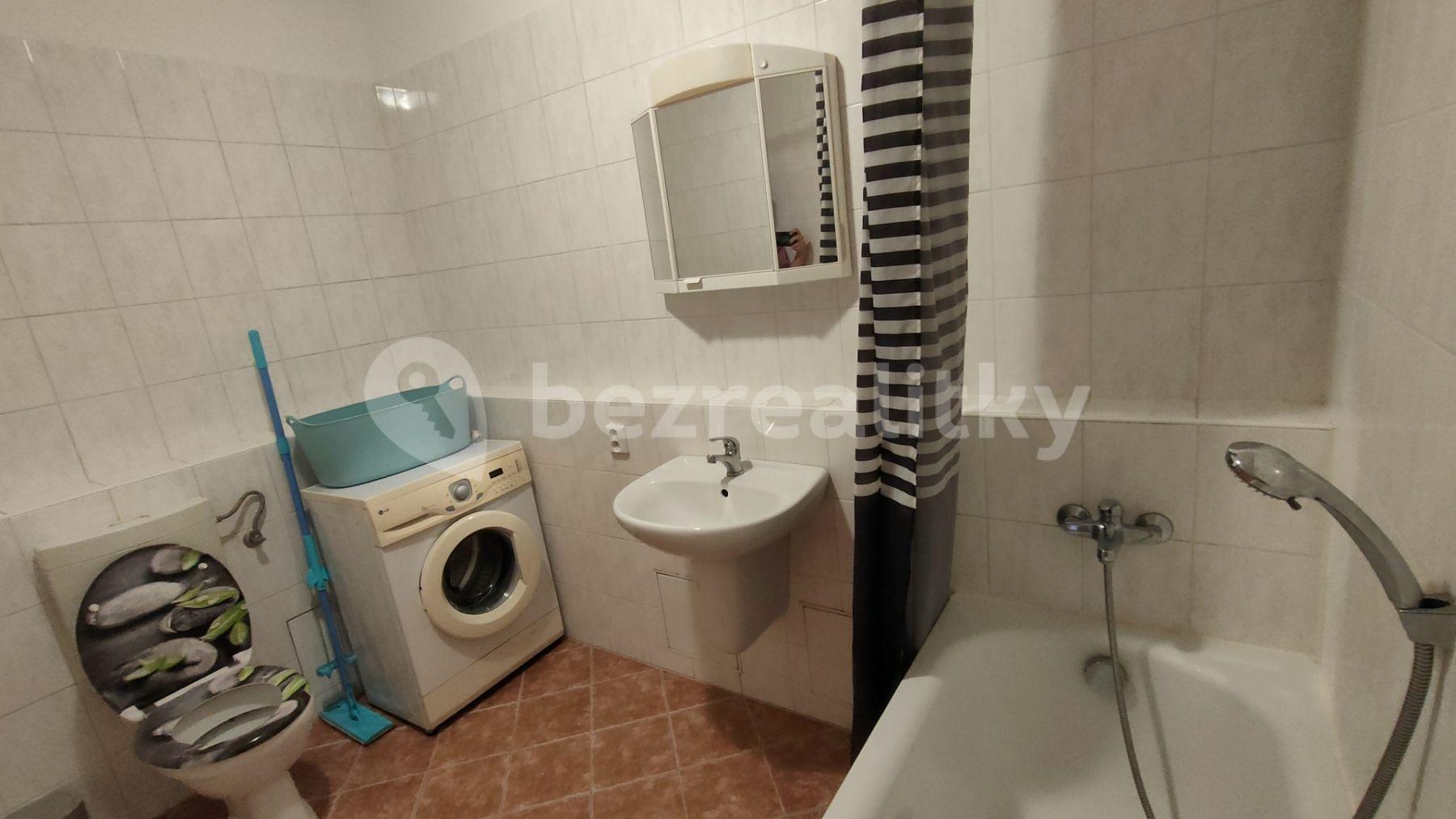 1 bedroom with open-plan kitchen flat to rent, 44 m², Voskovcova, Prague, Prague