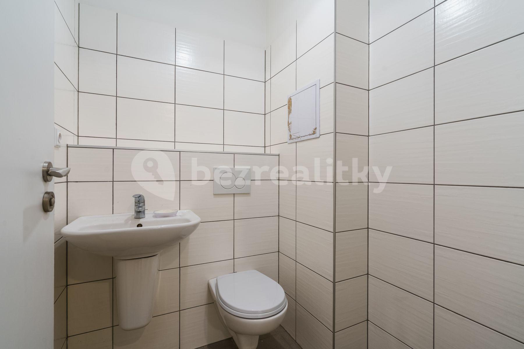 1 bedroom with open-plan kitchen flat to rent, 51 m², Třinecká, Prague, Prague