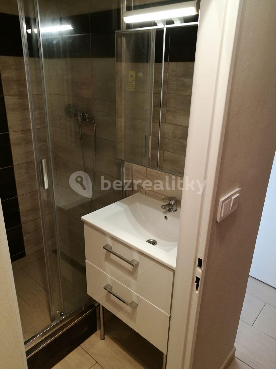 Studio flat to rent, 35 m², Vysočanská, Prague, Prague