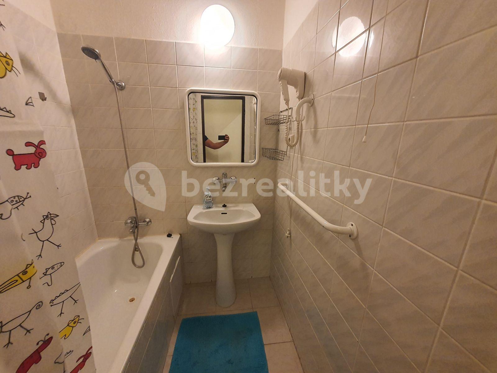 2 bedroom with open-plan kitchen flat to rent, 64 m², Liliová, Prague, Prague